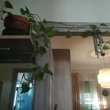 A Casa Di Ci Turin